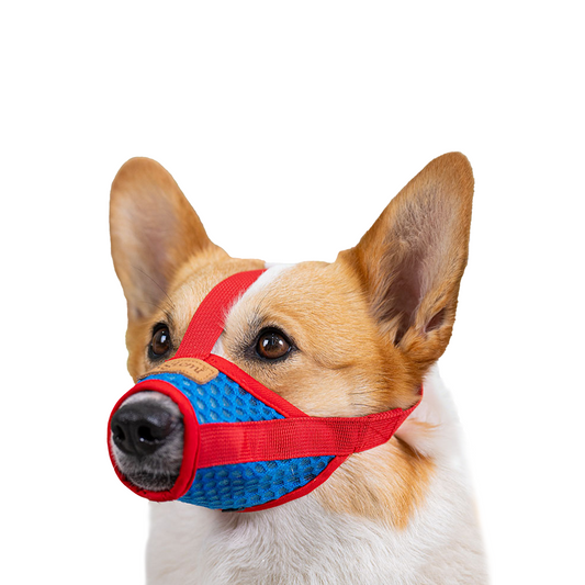 Basket Muzzle for Dogs, Prevents Biting Chewing Barking
