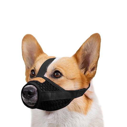 Basket Muzzle for Dogs, Prevents Biting Chewing Barking