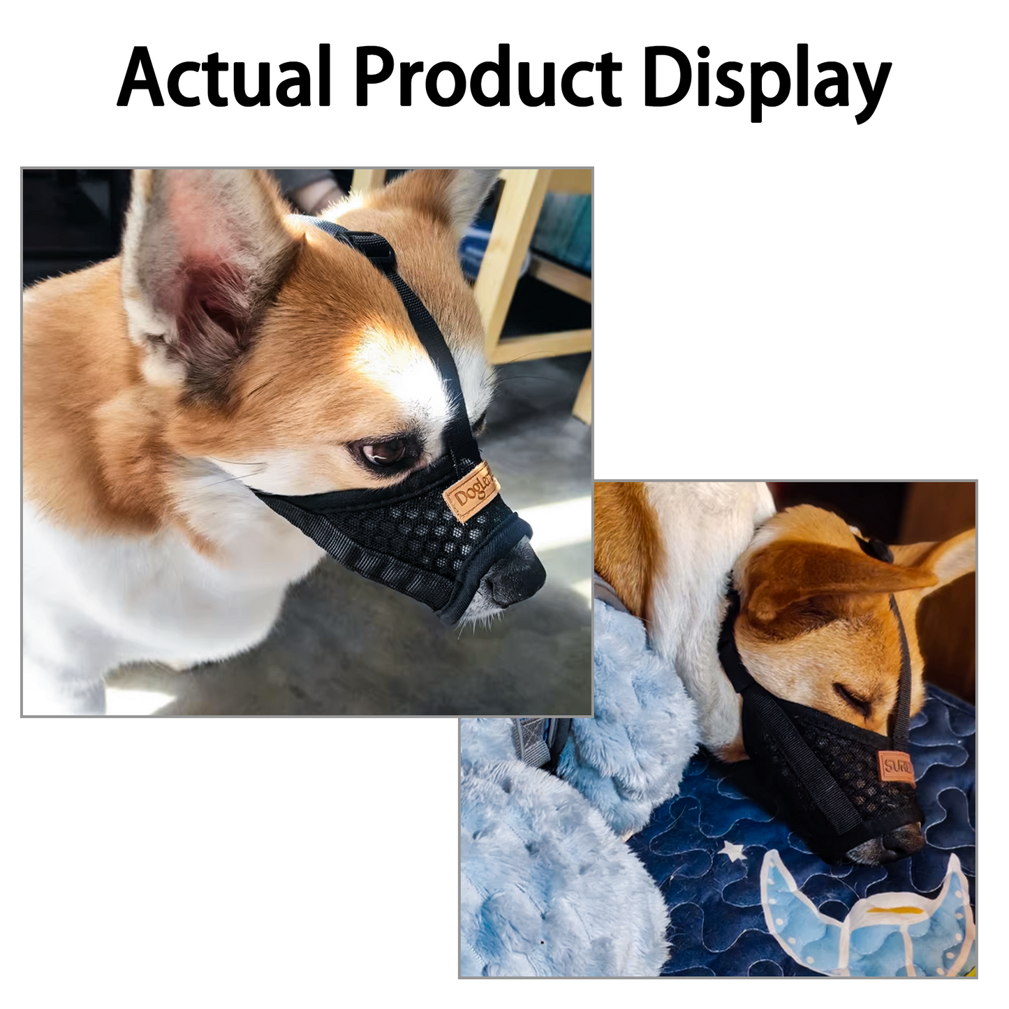 Basket Muzzle for Dogs, Prevents Biting Chewing Barking