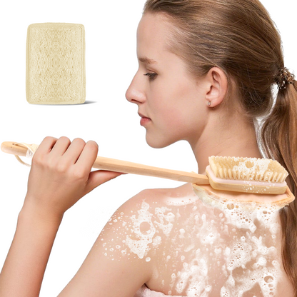 2-in-1 Shower Brush with Loofah Refill Pads