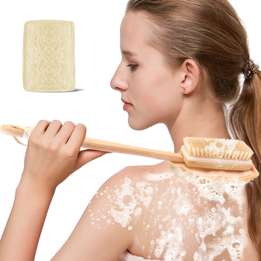 2-in-1 Shower Brush with Loofah Refill Pads