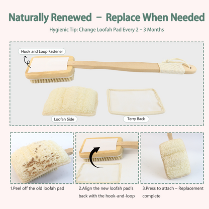 2-in-1 Shower Brush with Loofah Refill Pads